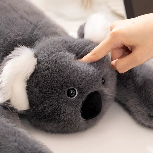 Koala abrazable de peluche