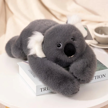 Koala abrazable de peluche