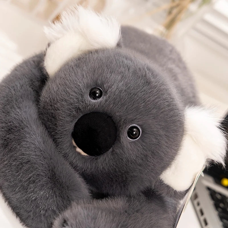Koala abrazable de peluche